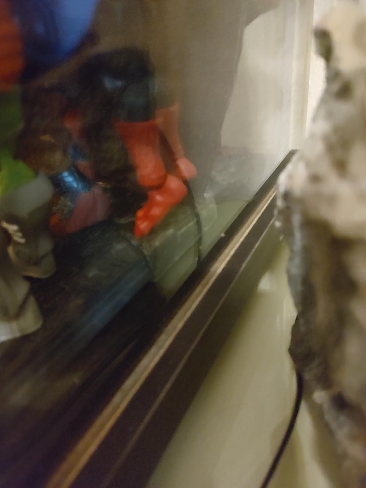 Stark für die Vitrine